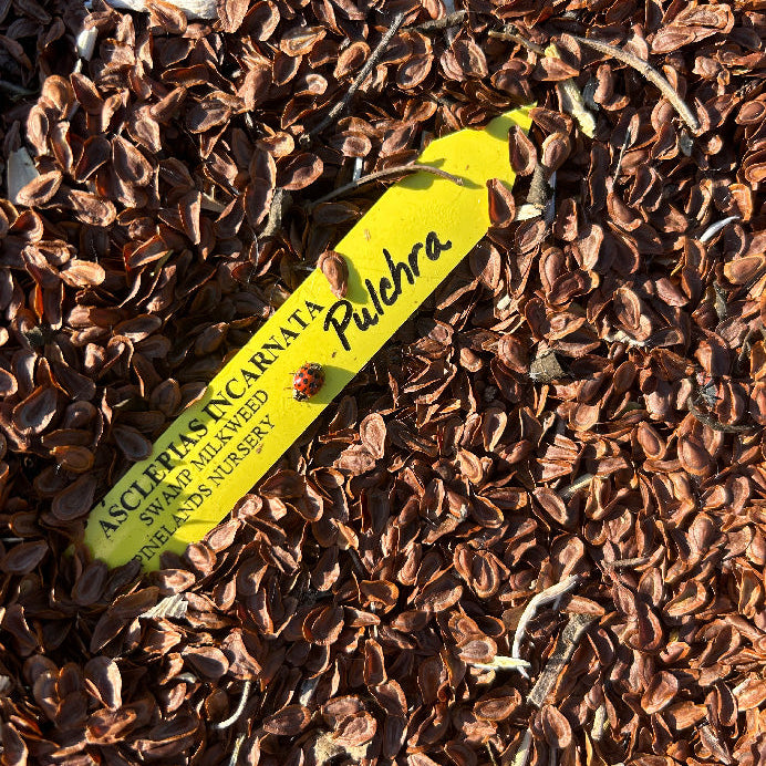 130: Milkweed Mix