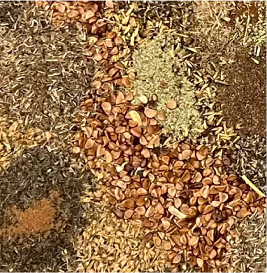 Seed Mixes