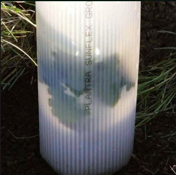 Plantra 5 ft SunFlex Grow Tubes - Doe Shield