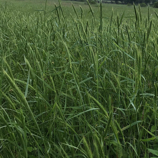 201: Bird Habitat Mix