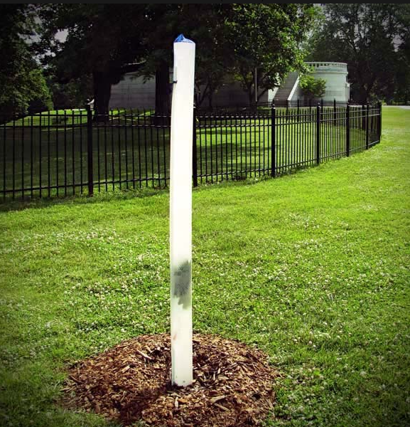 Plantra 2 ft Jump Start Grow Tubes - Bunny Shield